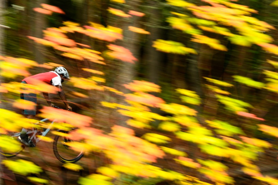 WhistlerMountainBikingFallLeaves