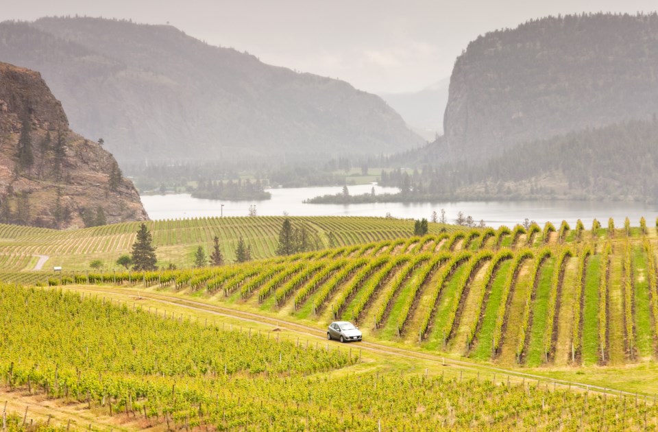 osoyoos winery - okanagan - bc - forest fires