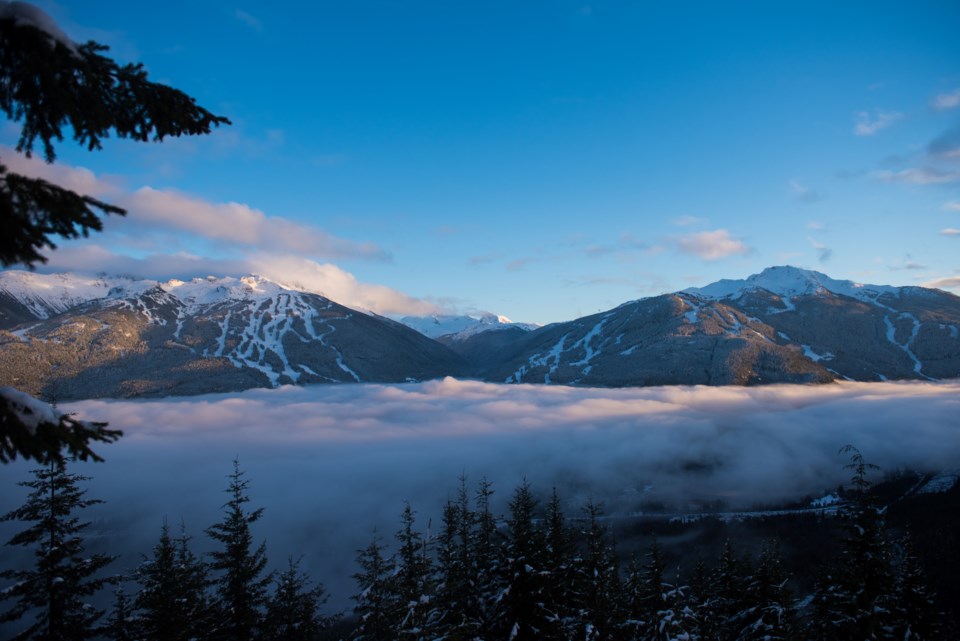 Whistler Blackcomb mountains - winter - ski resort 