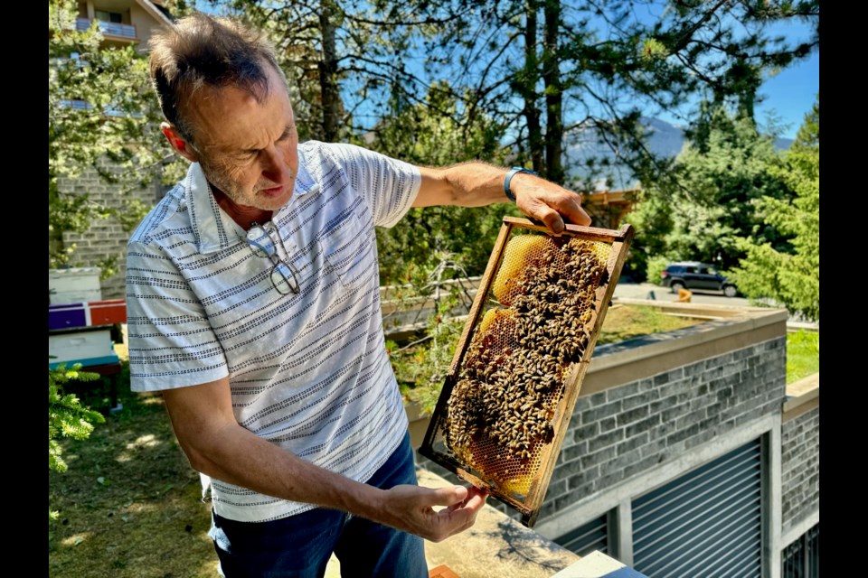 Iain Glass shows off bees at the Four Seasons Resort Whistler. 
