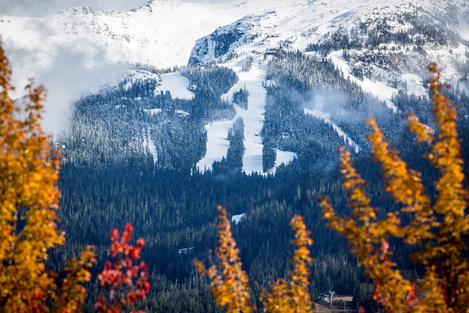 fallinwhistlerbc