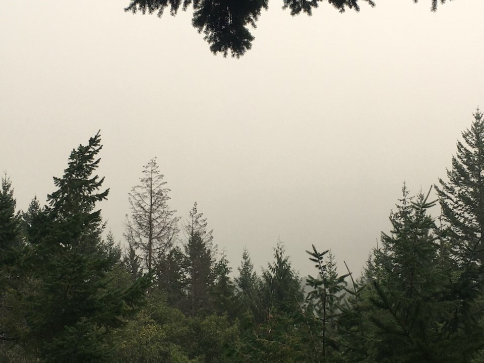 smoky skies whistler alpine meadows by clare 