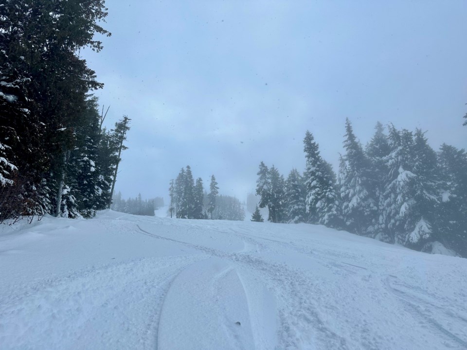 whistlerblackcombskiresortpowderdayfreshtracks