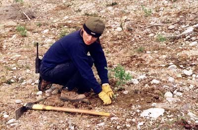 digging_in839