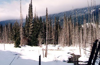 callaghan_valley