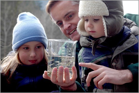 Environment Minister Barry Penner shares the wonder of new life with his niece and nephew Carissa and Benjamin during a visit to DFO Chilliwack River fish hatchery Saturday, Feb. 18. Photo by Rick Collins