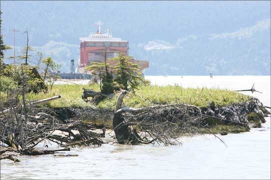 "In fact at that concentration it might be considered toxic waste.”
Squamish environment coordinator Francesca Knight on disturbing test results for Squamish estuary. Photo by Maureen Provencal