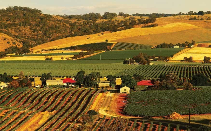 The stunning Barossa Valley is home to over 70 vineyards that are open to the public year-round. Photo c/o Barossa Grape &amp; Wine Association (<a href="http://www.barossa.com/">www.barossa.com</a>)