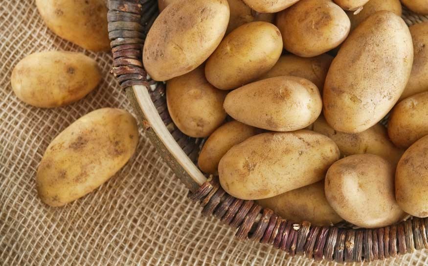 SPUD SPECTACLE Potato plants in Pemberton are up and out of the ground so growers are now set to spend the next two months tending to the crop.