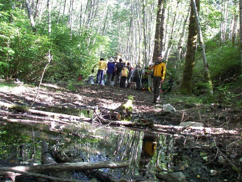 wetland1