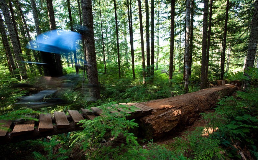 Thirsty Beaver in Cumberland, BC features hundreds of meters of flowing bridgework.