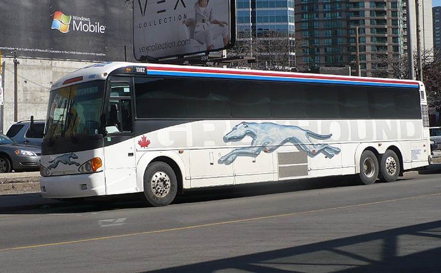 n-greyhound