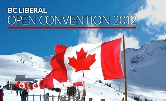 n-liberal-open-convention-flags-blank