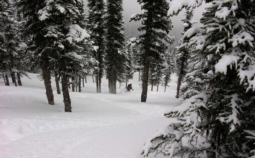 From advanced alpine terrain to cut runs below the treeline, the Hankin-Evelyn ski area offers something for everyone. Brian Hall