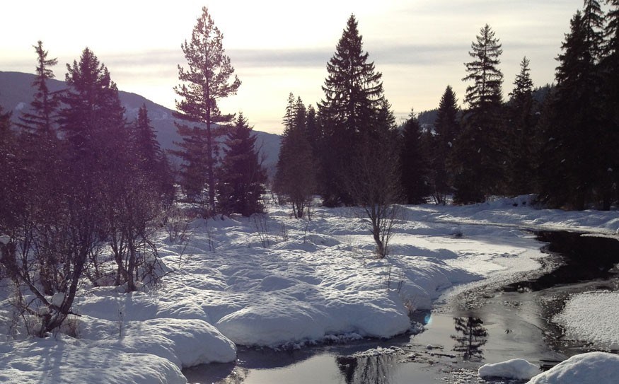 WINTER View from Valley Trail