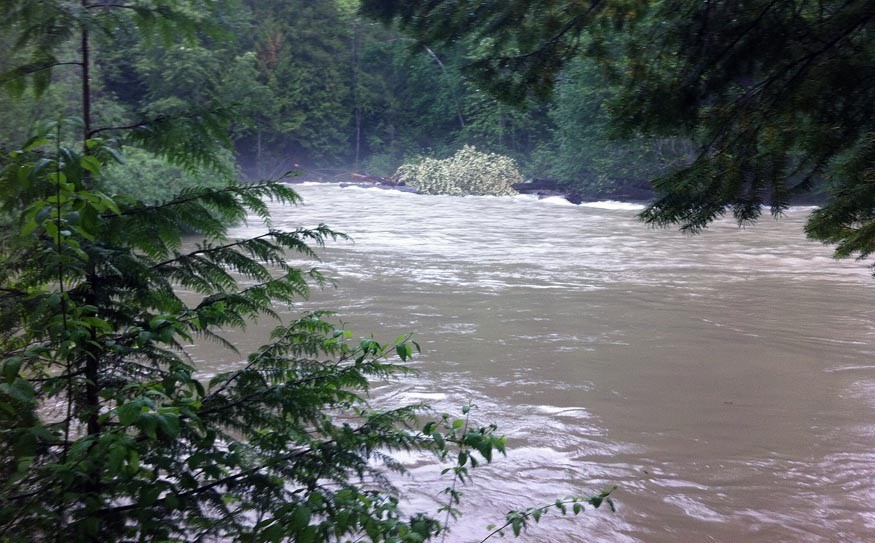 The Birkenhead River, May 13. Photo by Veronica Woodruff/EcoFish Research