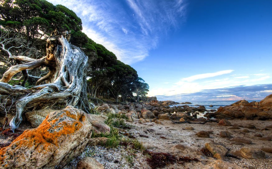 The beautiful Bunker Bay. Photo by Adam Selwood