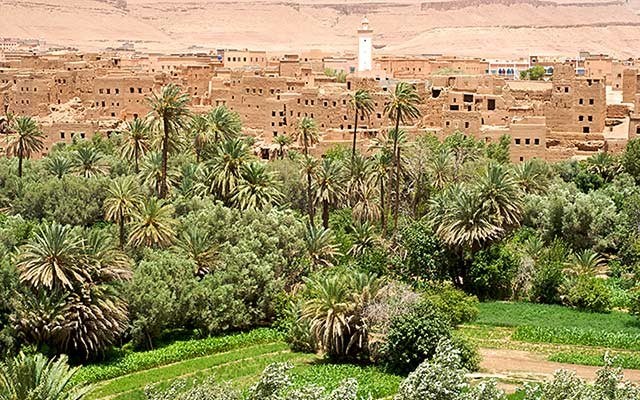 An oasis and town in desert-like eastern Morocco. Photo by Alison Appelbe