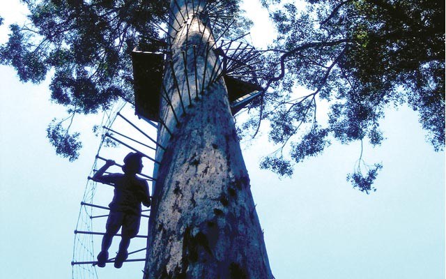 Climbing. Photo by Robin Esrock.