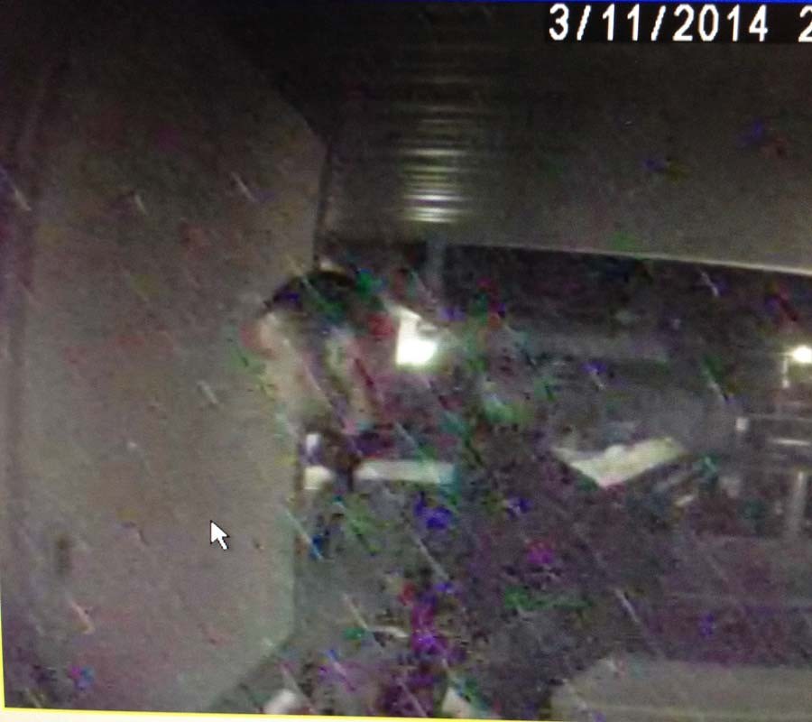 suspect_for_theft_from_veh