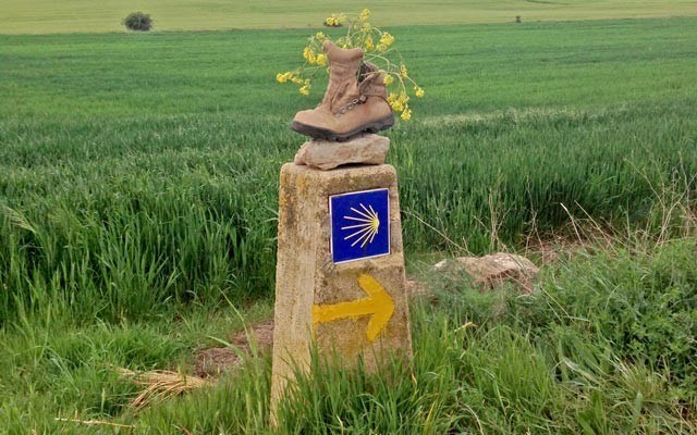 Trailmarkers featuring yellow arrows and stylized yellow shells mark the direction of the Camino de Santiago. Photo by Andrew Fleming