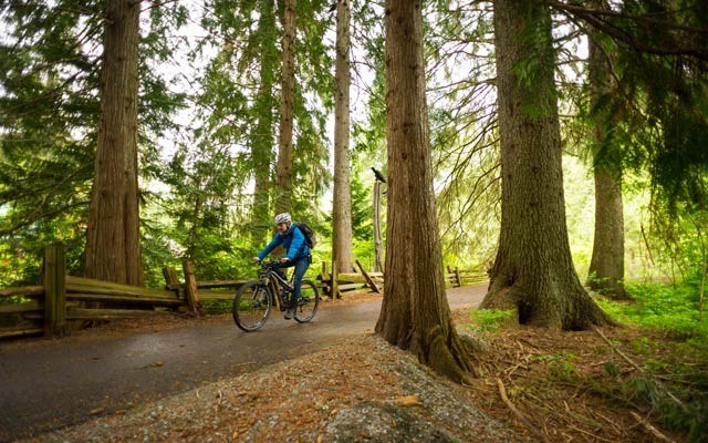 BikingWhistlerBCValleyTrail