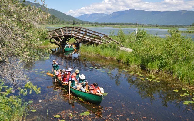 A guided canoe paddle is the best way to experience the Creston Valley Wildlife Management Area. Photos by Louise Christie