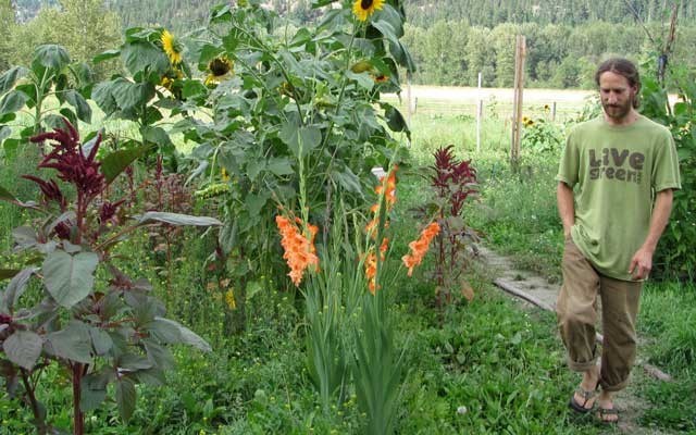 'King of Seeds', Jesse Fromowitz. Photo submitted