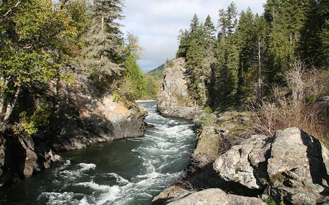 Adams river. Photo by Leslie Anthony