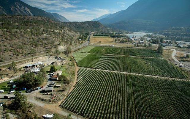 Wine Country Fort Berens winery in Lillooet. PHOTO by brad kasselman / courtesy of fort berens