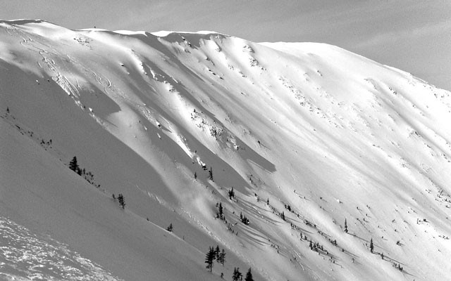 backcountry bliss A small part of the main bowl of Hankin Mountain looking northwest. Photo by Leslie Anthony