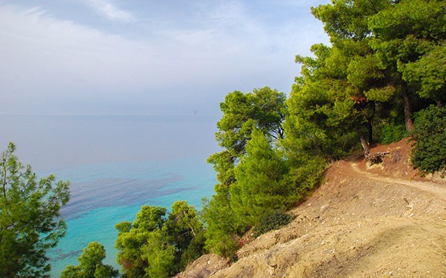 The Koutsoupia-Siviri Trail takes hikers through a pine forest with stunning views over the turquoise shoreline of the Aegean Sea. Photo by Suzanne Morphet