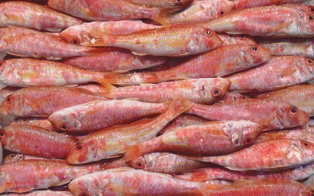 The Modiano market in the heart of Thessaloniki has a huge variety of seafood for sale. Photo by Suzanne Morphet