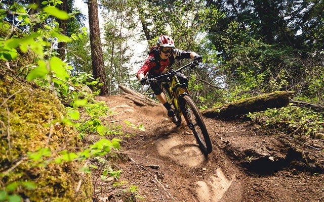 right on track Jesse Melamed crosses a log during the Pemberton Enduro on April 25. Photo By AJ Barlas