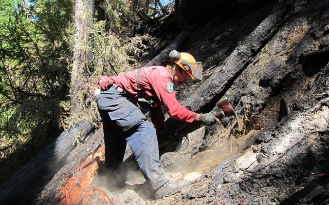 n-elaho-wildfire-2227-web-_bc-wildfire-service_