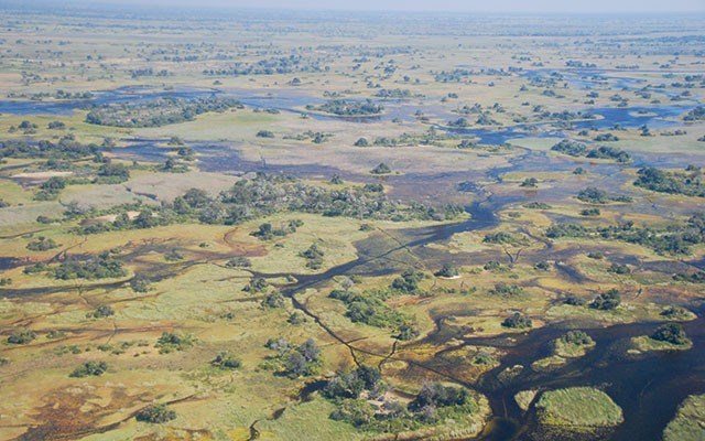 The Okavango Delta is one of the largest inland deltas in the world and is a maze of channels, lagoons and swamps. Photo by Suzanne Morphet