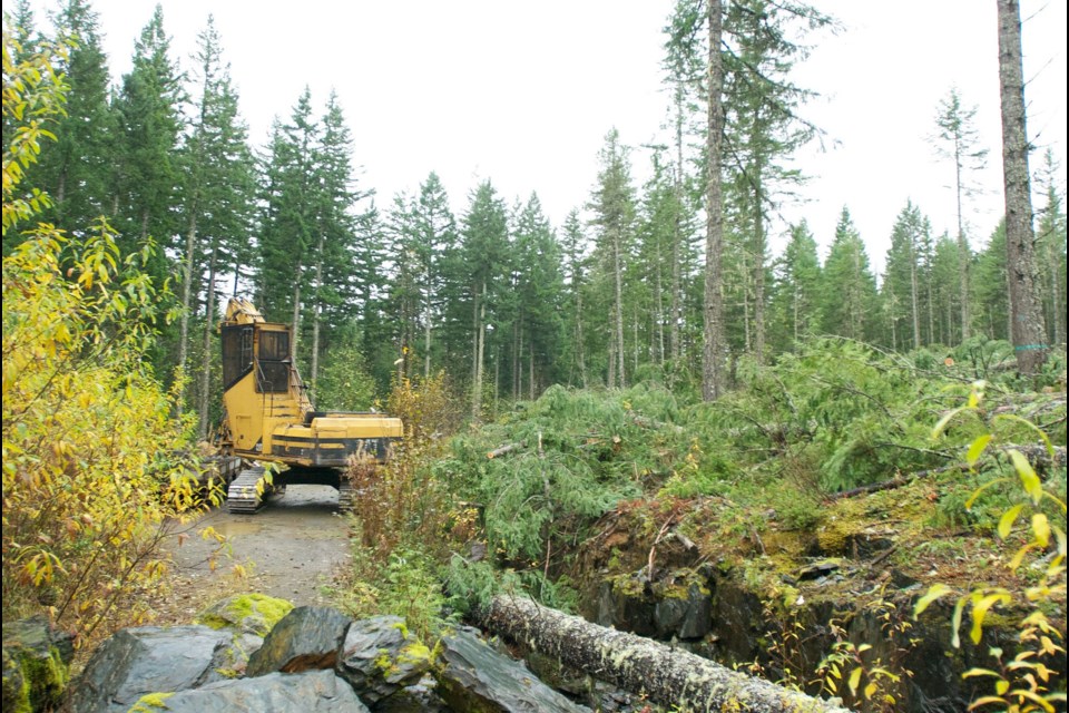 The Cheakamus Community Forest's current harvesting plans call for the logging of an area along Cheakamus Lake Road which is popular with mountain bikers.
File photo
