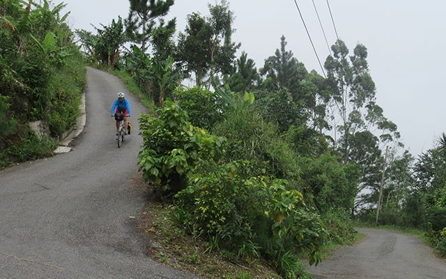 Buff Bay Road, a Black Diamond run all the way to the coast —good place for the Jamaican Bobsled Team to train, if it ever got snow. Photo by Dr. Tom DeMarco