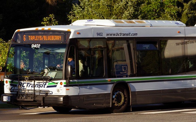 n-free-transit-web-2426