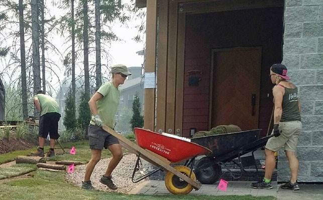 news_whistler3-1-af8024945c7928a5