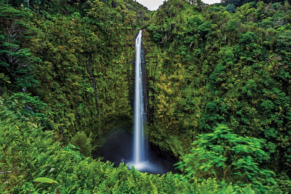 Akaka Falls. photo by <a href="http://Shutterstock.com">Shutterstock.com</a>