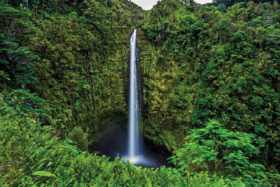 Akaka Falls. photo by <a href="http://Shutterstock.com">Shutterstock.com</a>