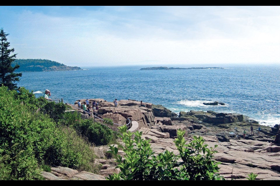 The rugged Maine coast in Acadia National Park. Photo by Pat Woods