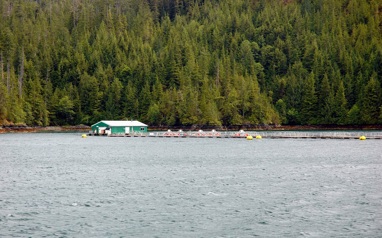 fishing planet alberta farming fishing planet alberta farming