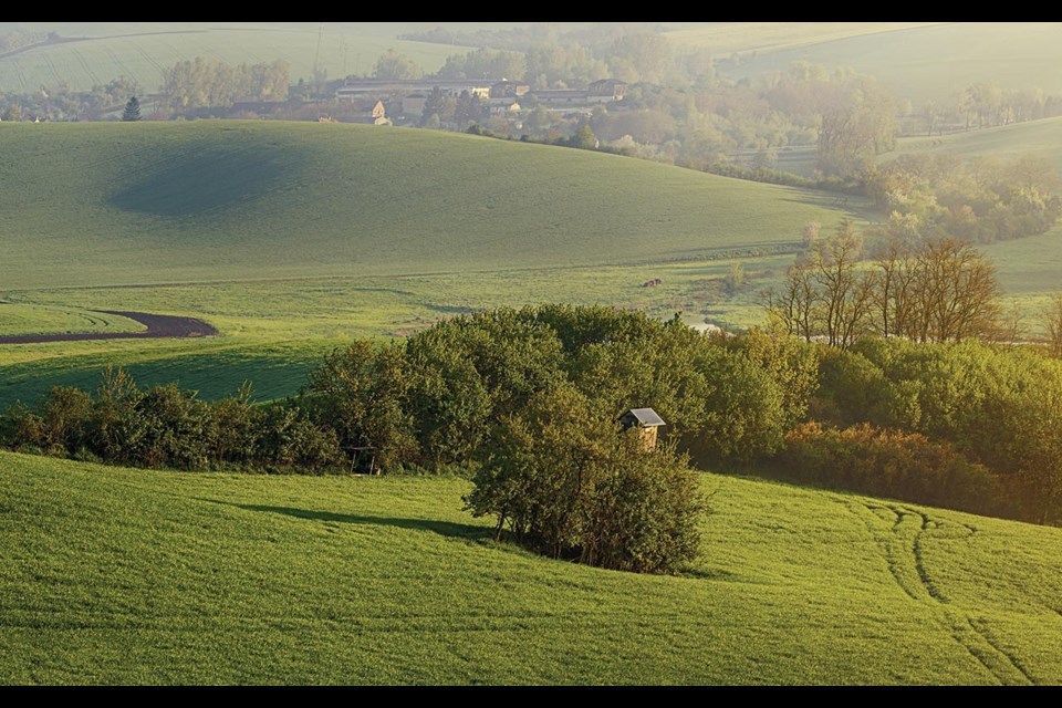 Panoramic of the South Moravian countryside. <a href="http://shutterstock.com">shutterstock.com</a>