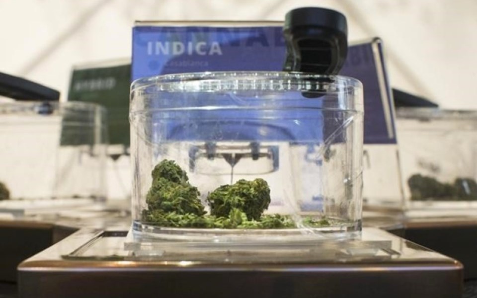 marijuana_legal_cannabis