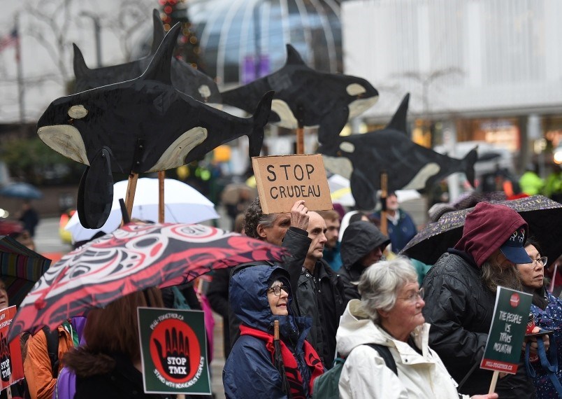 trans-mountain-pipeline-protesters-rallied-on-the-steps-of-t