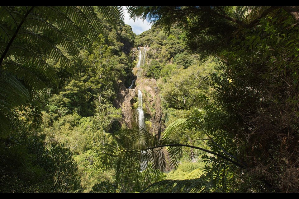 Kitekite Falls near the east coast of Auckland, New Zealand. Shutterstock.com