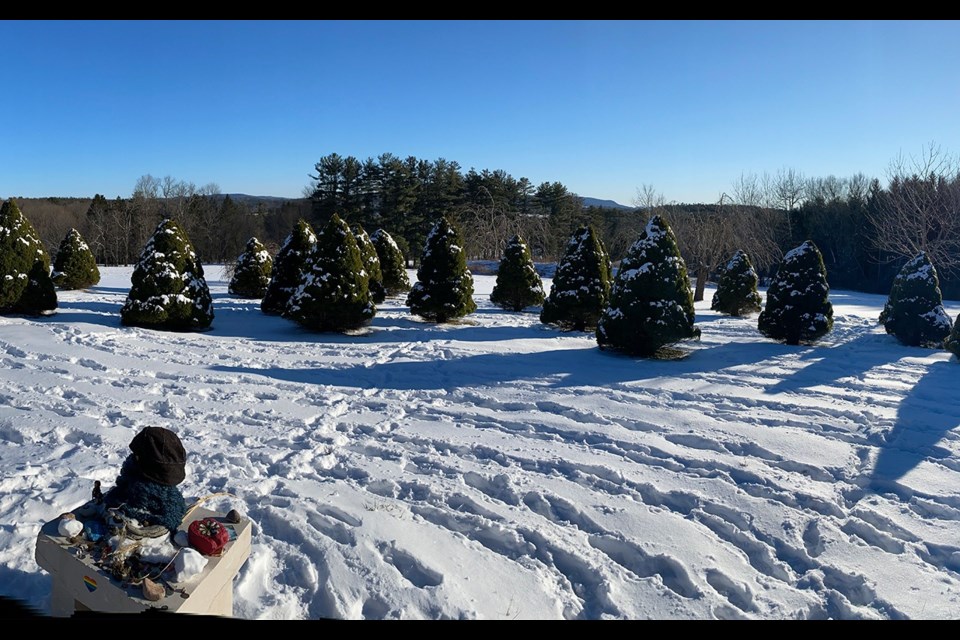 The Kripalu labyrinth. Photo by Teresa Bergen