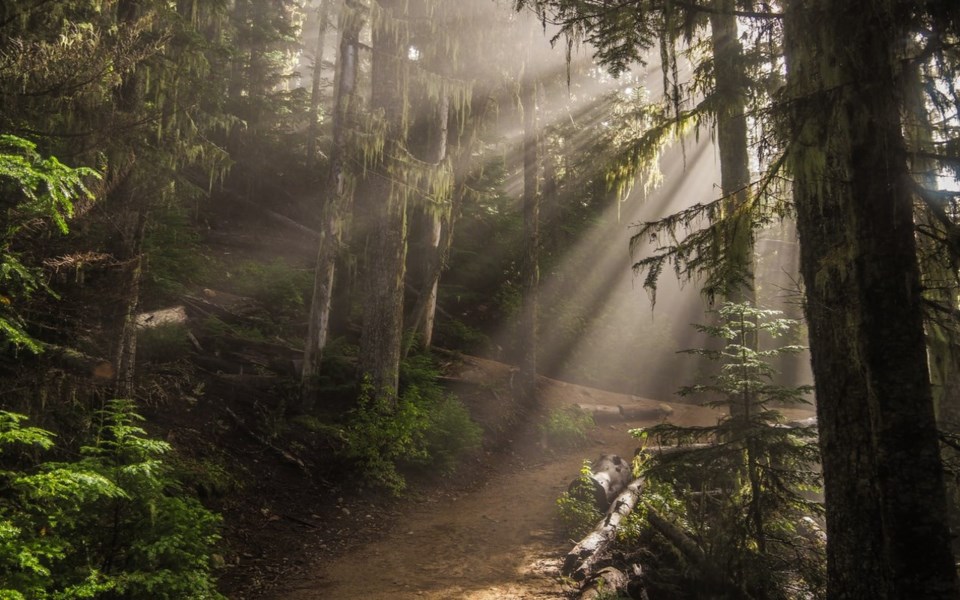 garibaldi_hike